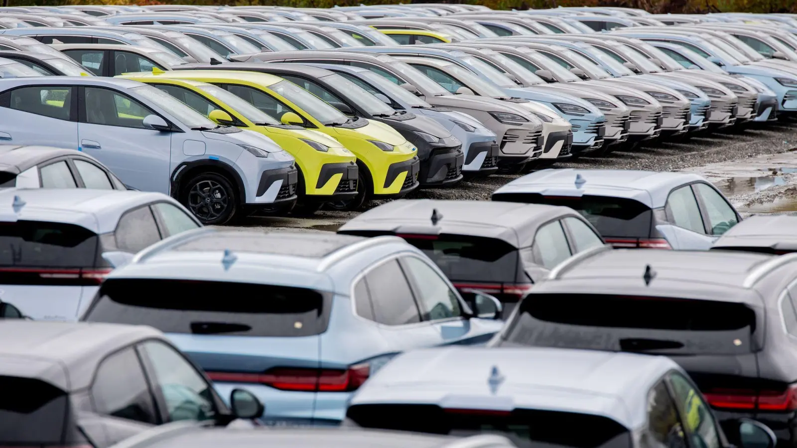 Aus China importierte Elektroautos in Wilhelmshaven. Der Druck der chinesischen Industrie auf ihre deutsche Konkurrenz wächst beständig. (Symbolbild) (Foto: Hauke-Christian Dittrich/dpa)