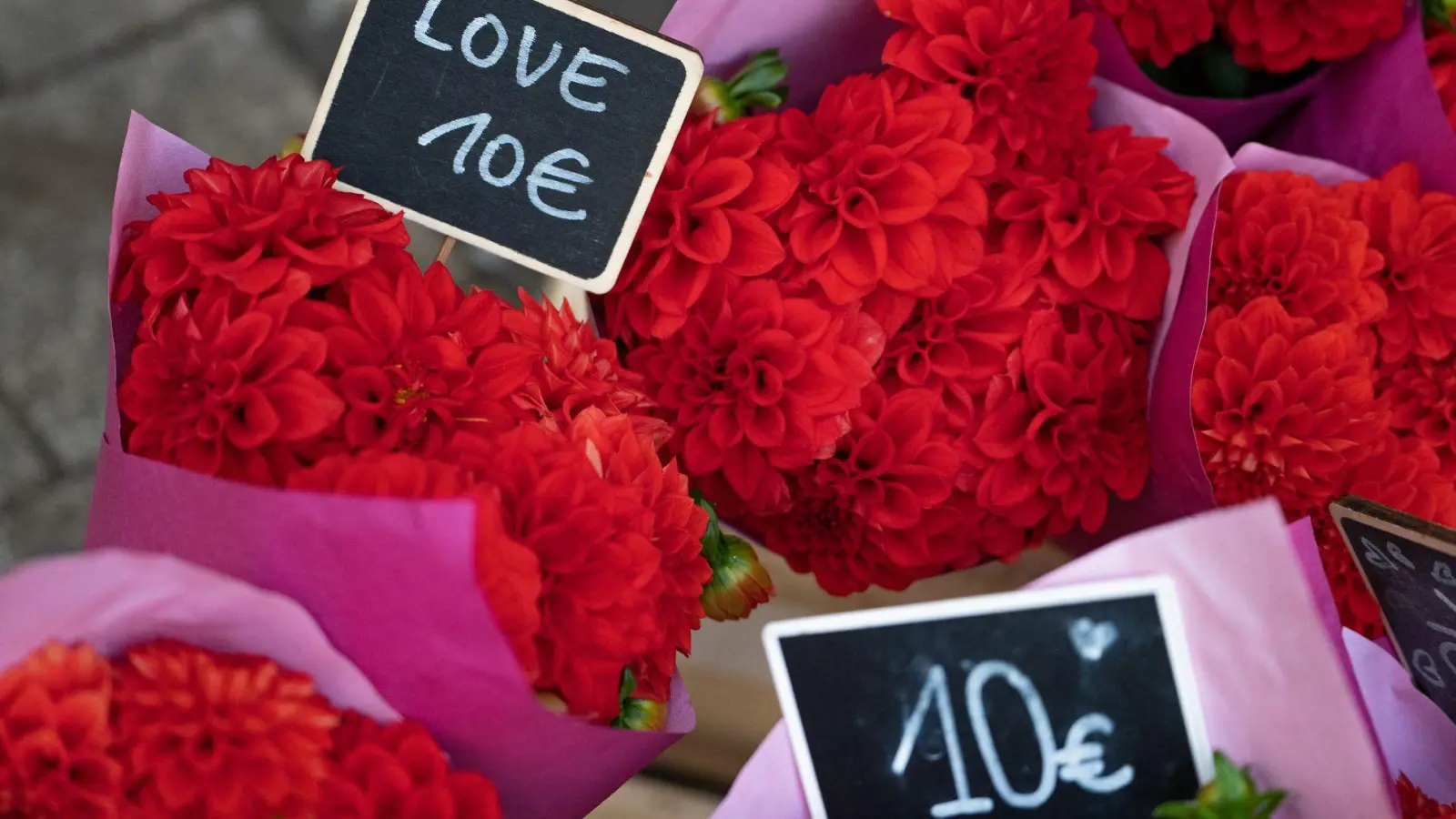 „Liebe und Geld sind keine Gegensätze“, teilt die Raisin-Finanzexpertin Katharina Lüth mit. (Symbolbild) (Foto: Helena Dolderer/dpa)