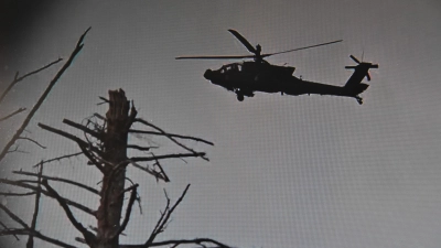 Fluglärm am Adlerhorst mit den Jungvögeln im Waldgebiet bei Aurach. Ein Video vom Überflug hat der Forstbetrieb Rothenburg der FLZ zur Verfügung gestellt. (Screenshot: Silvia Schäfer)