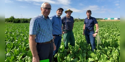 Dieter Proff, Simon Vogel, Bernhard Wolf und Christoph Ott legten dar, wie sich die Situation aus Sicht der Zuckerrübenbauerrn darstellt. (Foto: ug)
