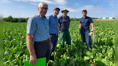 Dieter Proff, Simon Vogel, Bernhard Wolf und Christoph Ott legten dar, wie sich die Situation aus Sicht der Zuckerrübenbauerrn darstellt. (Foto: ug)