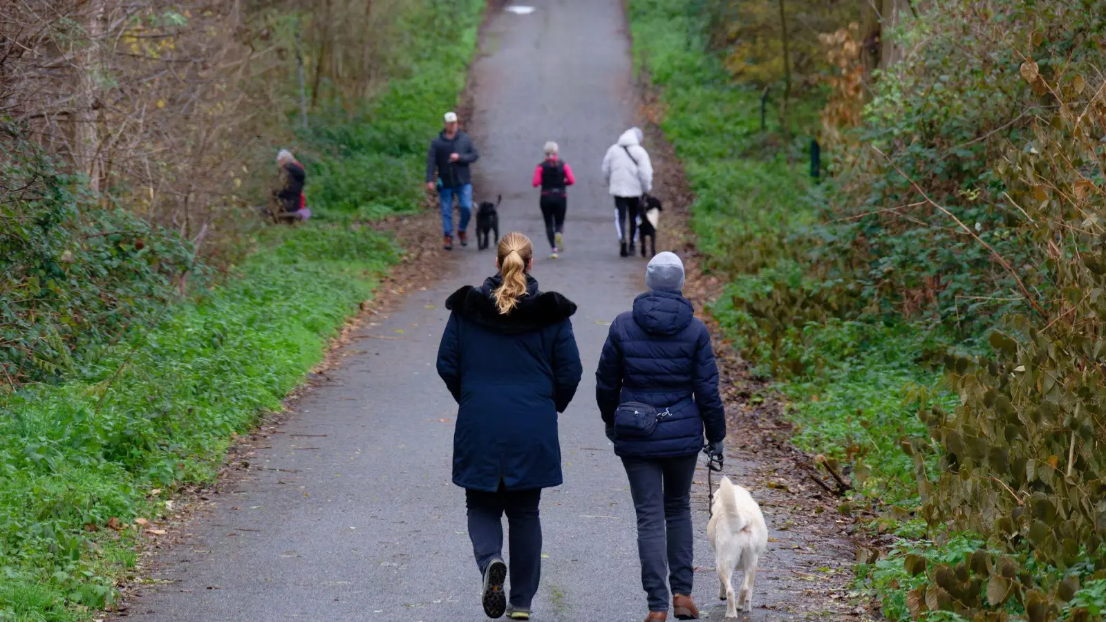 Zum Wochenstart wird es in vielen Regionen Deutschlands heiter bis wolkig.  (Foto: Henning Kaiser/dpa)