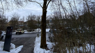 Auf den Parkplätzen an der Rezat werden Bäume für den Hochwasserschutz gefällt.  (Foto: Wasserwirtschaftsamt Ansbach)