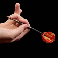 In Verden in Niedersachsen findet das Finalturnier der Darts-Bundesliga statt. (Symbolbild: Bernd Thissen/dpa)