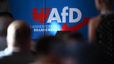 Die AfD in Brandenburg wehrt sich juristisch gegen ihre Hochstufung zur gesichert rechtsextremistischen Bestrebung. (Archivbild)  (Foto: Britta Pedersen/dpa)