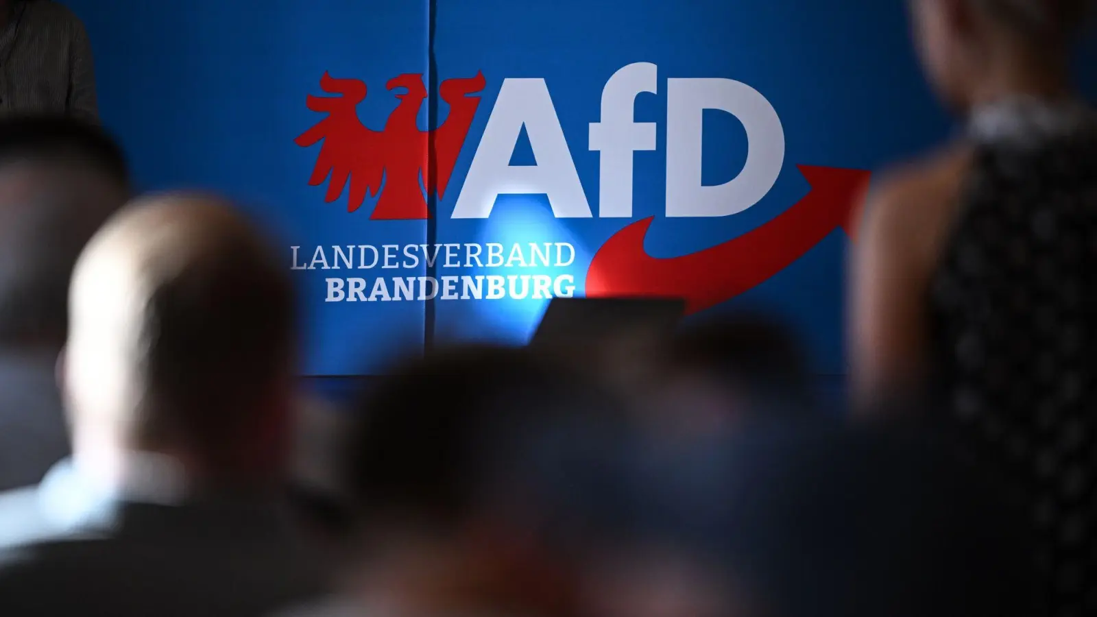 Die AfD in Brandenburg wehrt sich juristisch gegen ihre Hochstufung zur gesichert rechtsextremistischen Bestrebung. (Archivbild)  (Foto: Britta Pedersen/dpa)