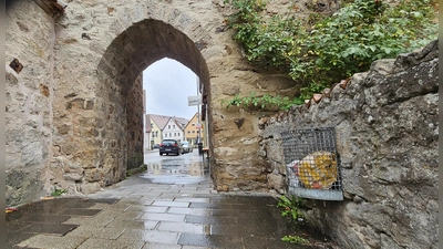 Dafür, dass Kommunen Einweg-Plastikverpackungen aus öffentlichen Mülleimern entsorgen, können sie Geld aus einem Fonds bekommen. Die Stadt Leutershausen hat den bürokratischen Kraftakt der Antragstellung auf sich genommen. (Foto: Wolfgang Grebenhof)