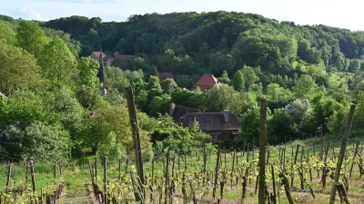 Durch Exkursionen und Projekttage sollen die Schülerinnen und Schüler ihre Heimatregion um das Taubertal noch besser kennenlernen. (Archivbild: Manfred Blendinger)