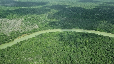Deutschland gibt viel Geld für einen neuen Tropenwaldfonds. (Foto: Larissa Schwedes/dpa)