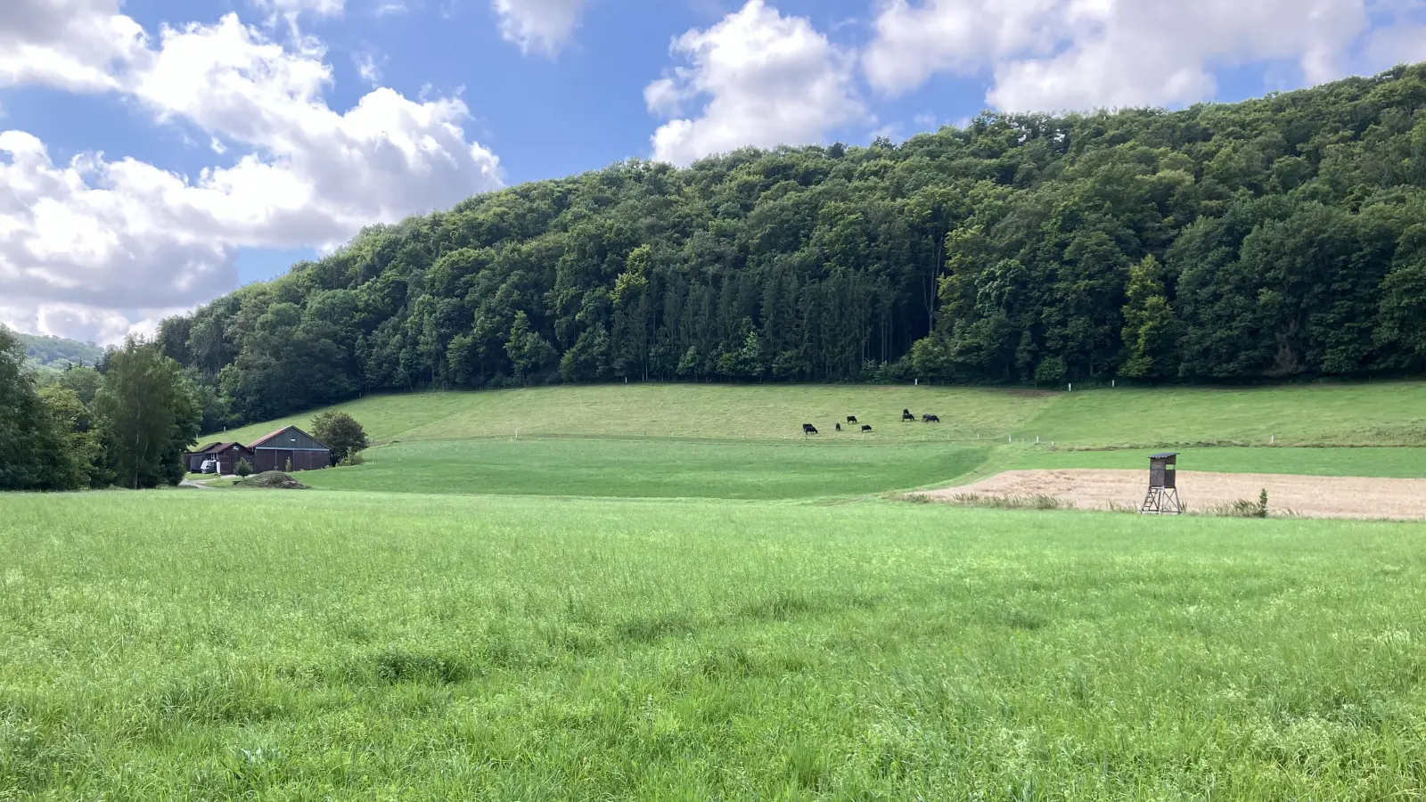 Ruhe im Tal - gesehen im Taubertal. (Foto: Erwin Ebner)