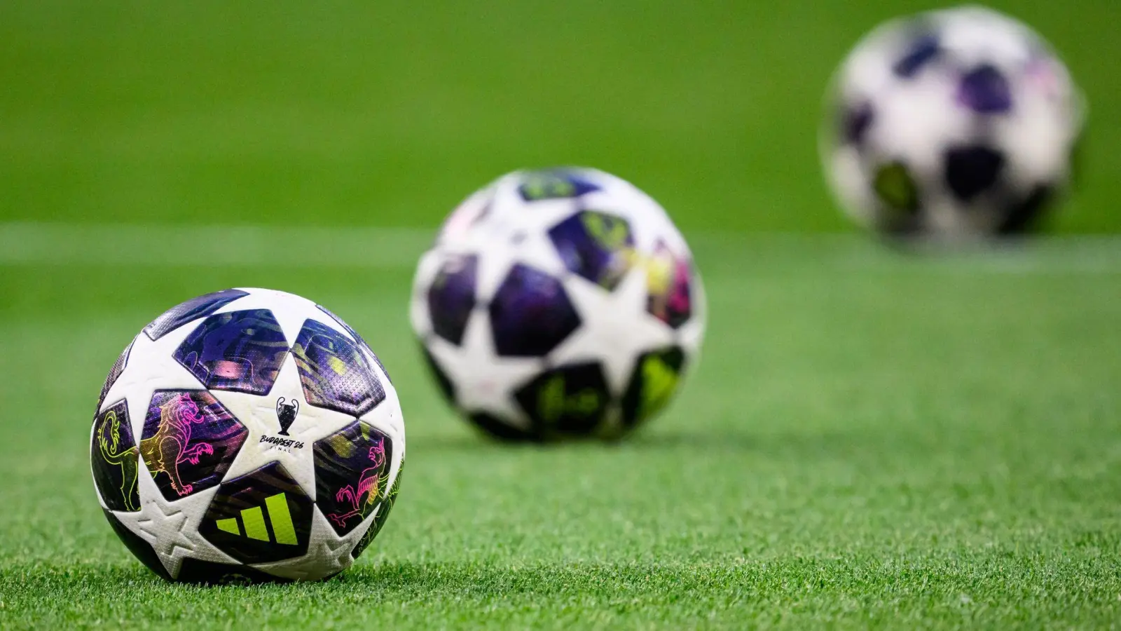 In der Champions League rollt ab dem 8. September wieder der Ball. (Foto: Tom Weller/dpa)