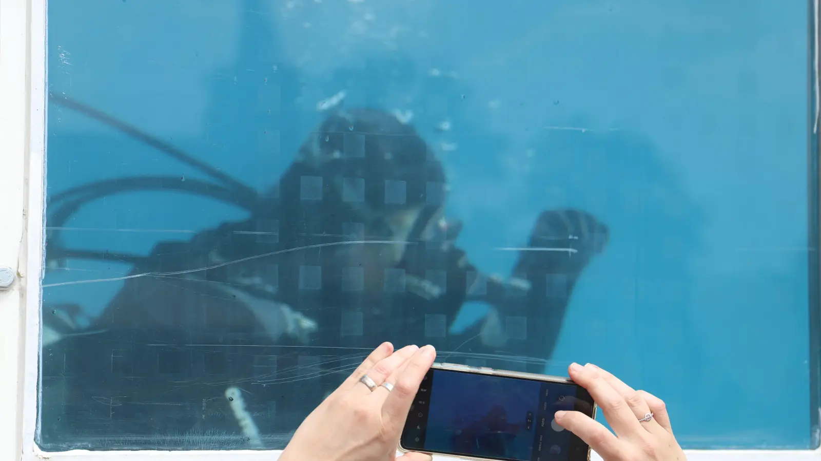 Der Taucher im Bassin ist ein beliebtes Fotomotiv für die Menschen auf der anderen Seite der Scheibe. (Foto: Oliver Herbst)