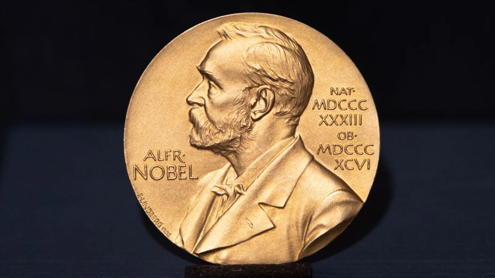 Die Nobelmedaille des deutschen Schriftstellers Günter Grass. (Archivbild) (Foto: Daniel Reinhardt/dpa)