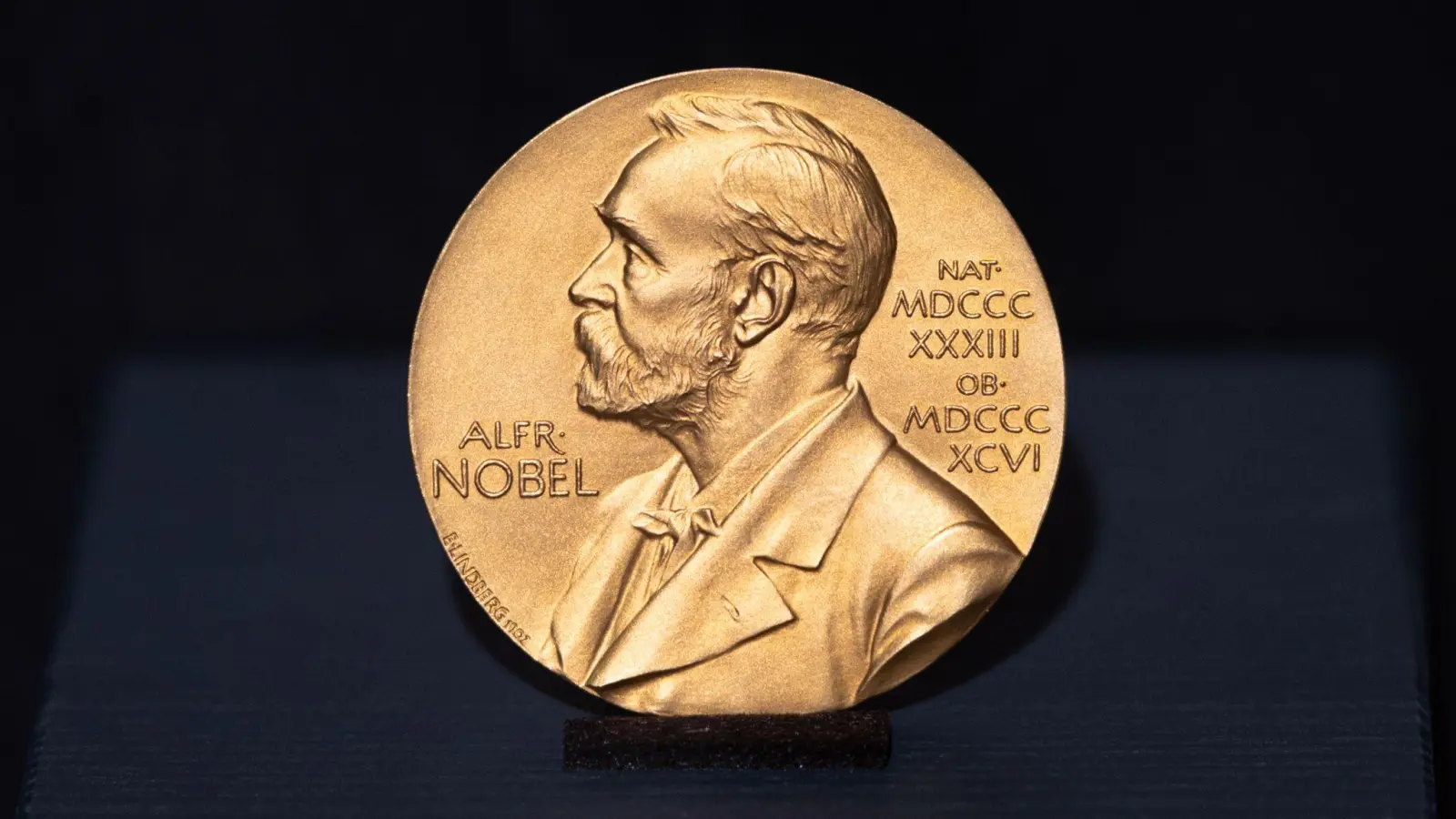Wer den begehrten Nobelpreis bekommt, erhält auch eine Medaille - und in diesem Jahr 12 Millionen schwedische Kronen (rund 1 Million Euro). (Symbolbild) (Foto: Daniel Reinhardt/dpa)
