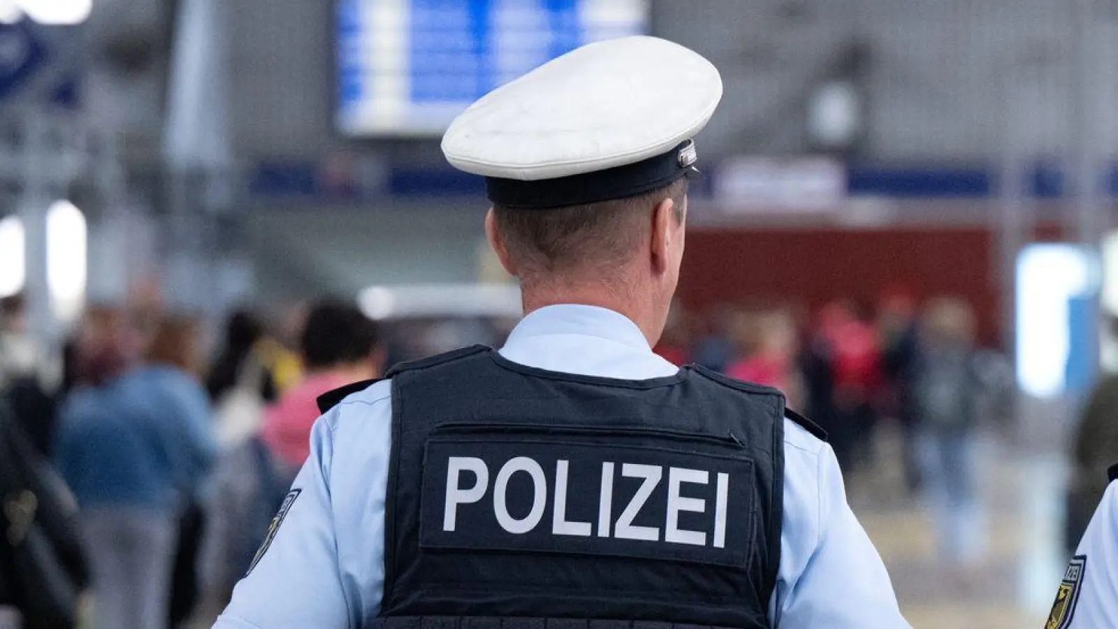 Bundespolizisten nahmen den Angaben zufolge den Tatverdächtigen am Münchner Hauptbahnhof fest. (Symbolbild) (Foto: Sven Hoppe/dpa)