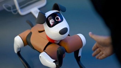 Roboter-Hunde tauchen bereits gelegentlich im Straßenbild chinesischer Großstädte auf.  (Foto: Johannes Neudecker/dpa)