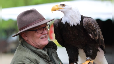 Greifvögel können auf dem Fest beinahe hautnah erlebt werden. (Foto: Fa. Ströbel)