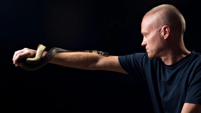 Der von Schlangen begeisterte US-Amerikaner Tim Friede hat sich selbst immer größere Dosierungen von Schlangengiften verabreicht und kann nun einfach so eine Wasserkobra auf dem Arm tragen.  (Foto: ---/Centivax/dpa)