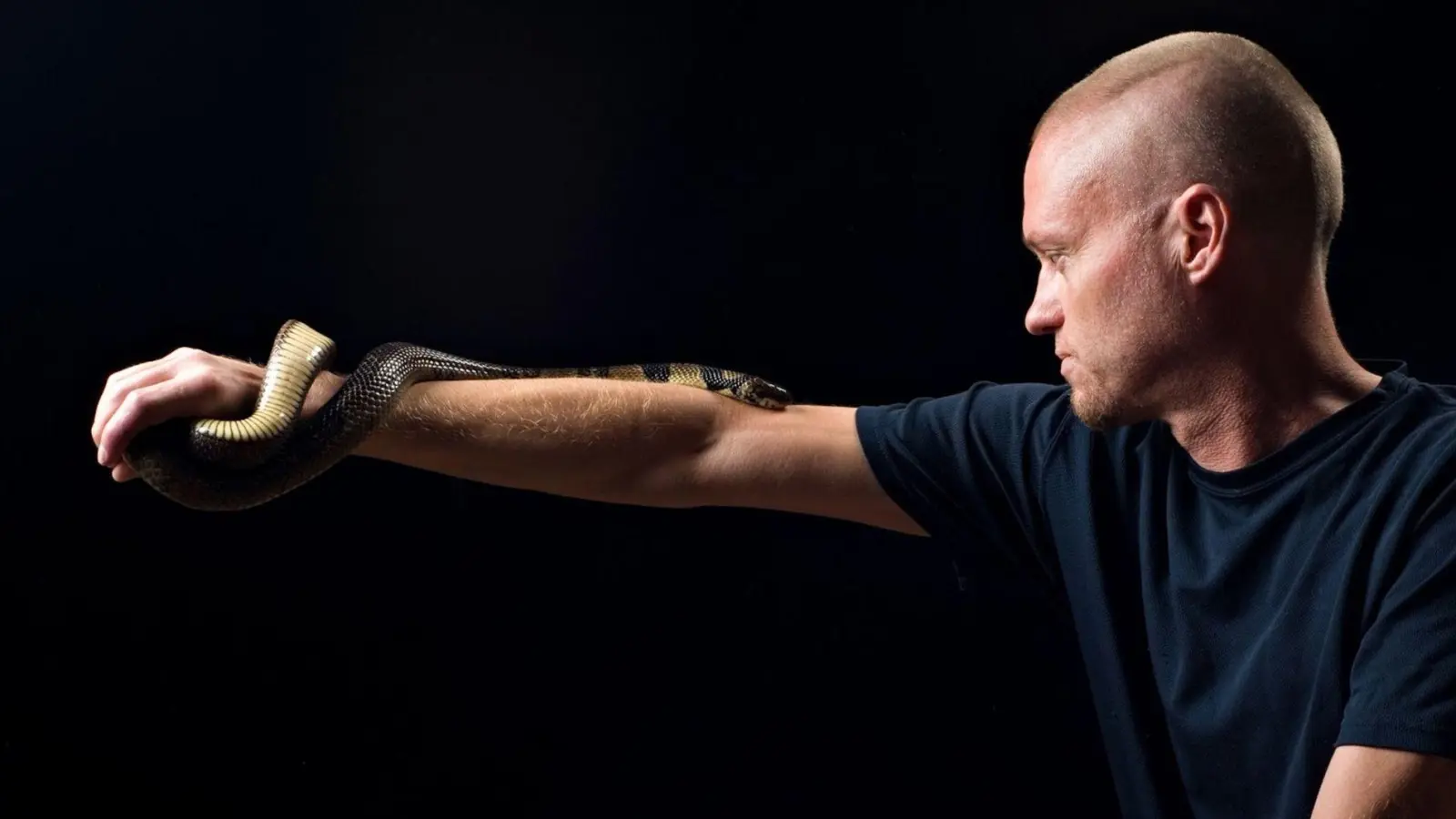 Der von Schlangen begeisterte US-Amerikaner Tim Friede hat sich selbst immer größere Dosierungen von Schlangengiften verabreicht und kann nun einfach so eine Wasserkobra auf dem Arm tragen.  (Foto: ---/Centivax/dpa)