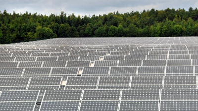 Mit den bereits gebauten und beantragten Freiflächen-Photovoltaikanlagen könnten theoretisch über 14.400 Privathaushalte mit Solarstrom versorgt werden. Dies berichtete Stadtplanerin Andrea Heinlein im Bauausschuss. (Foto: Jim Albright)
