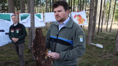 Anhand einer vom Borkenkäfer befallenen Rinde zeigte Andreas Egl (rechts), wie das Insekt den Bäumen die Lebensgrundlage raubt. Dr. Peter Pröbstle (links) schilderte die Gesamtsituation. (Foto: Thomas Schaller)