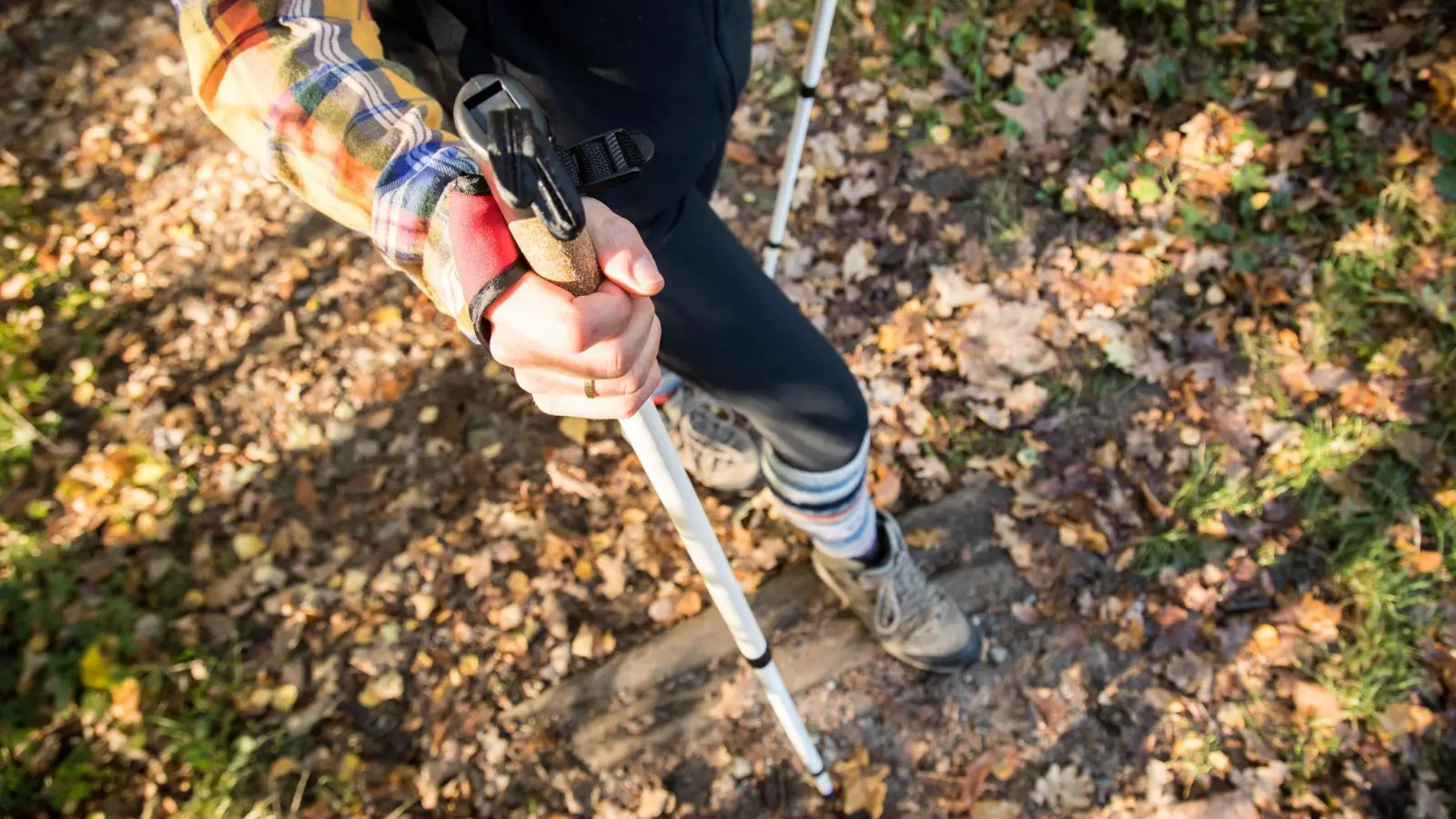 Bunt unterwegs: Der Herbst ist eine reizvolle Wandersaison - birgt allerdings auch potenzielle Risiken und Besonderheiten, die man beachten sollte. (Foto: Christin Klose/dpa-tmn)