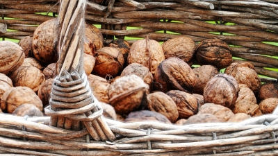Walnüsse sollte nach dem Sammeln sofort getrocknet werden. (Foto: Pixabay)