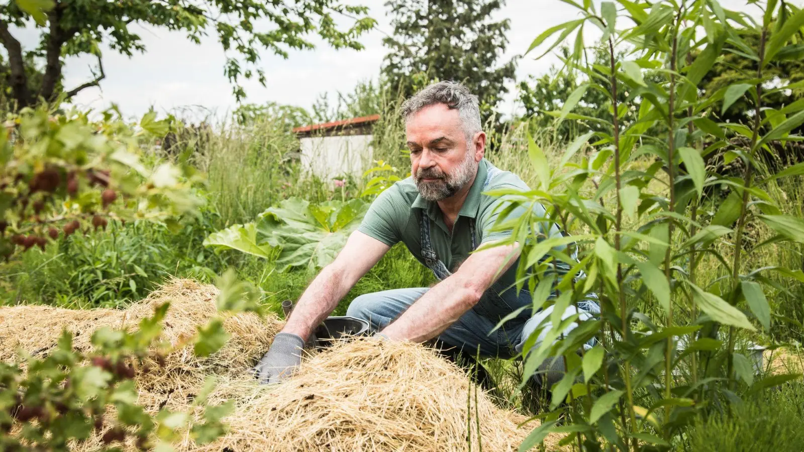 Exotische Pflanzen bereichern den Garten. Doch die Schädlinge, die sie vielleicht einschleppen, werden dem Ökosystem schnell gefährlich. (Foto: Christin Klose/dpa-tmn)