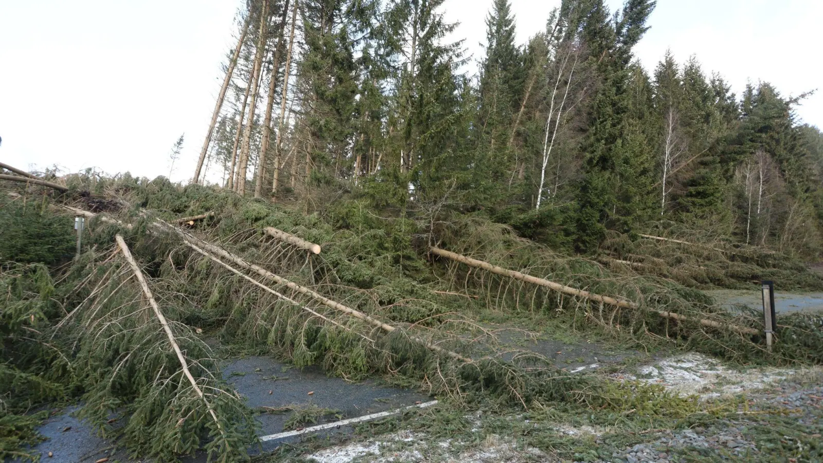 Im Harz liegen zahlreiche Bäume auf einer Straße. (Foto: Matthias Bein/dpa-Zentralbild/ZB)