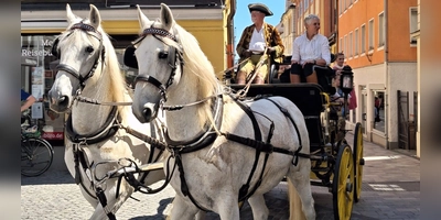 Dieses Jahr finden die Rokoko-Festspiele nicht statt. Beim Marktgeflüster ist dennoch ein pompöses Programm geboten. (Foto: Sophia Schmidt)