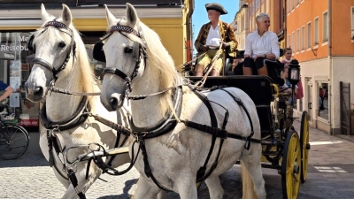 Dieses Jahr finden die Rokoko-Festspiele nicht statt. Beim Marktgeflüster ist dennoch ein pompöses Programm geboten. (Foto: Sophia Schmidt)