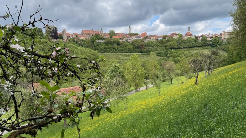 Auf die abwechslungsreiche Natur im und ums Taubertal kann man sich auch auf dem Wanderweg LT30 besonders freuen.  (Foto: Manfred Blendinger)