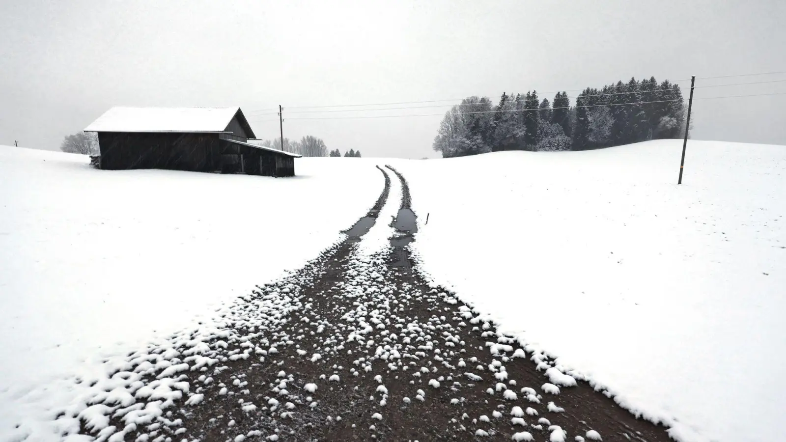 Selbst in niedrigeren Lagen im Alpenvorland, wie hier im Allgäu, hatte es in den vergangenen Tagen geschneit. (Archivbild) (Foto: Karl-Josef Hildenbrand/dpa)