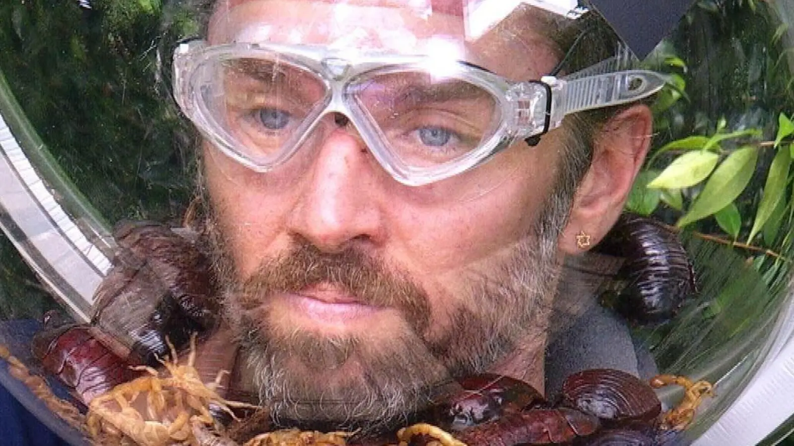 Auch das krabbeligste Getier konnte ihn nicht stoppen: Musiker Gil Ofarim ist Dschungelkönig. (Handout) (Foto: RTL/dpa)