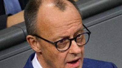 Merz bei seiner Regierungserklärung.  (Foto: Bernd von Jutrczenka/dpa)