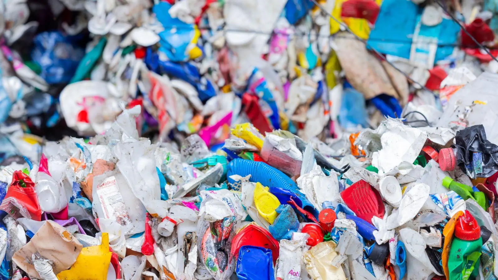 Plastik landet nicht nur auf dem Müll, sondern auch im Körper der Menschen. (Symbolbild) (Foto: Rolf Vennenbernd/dpa)