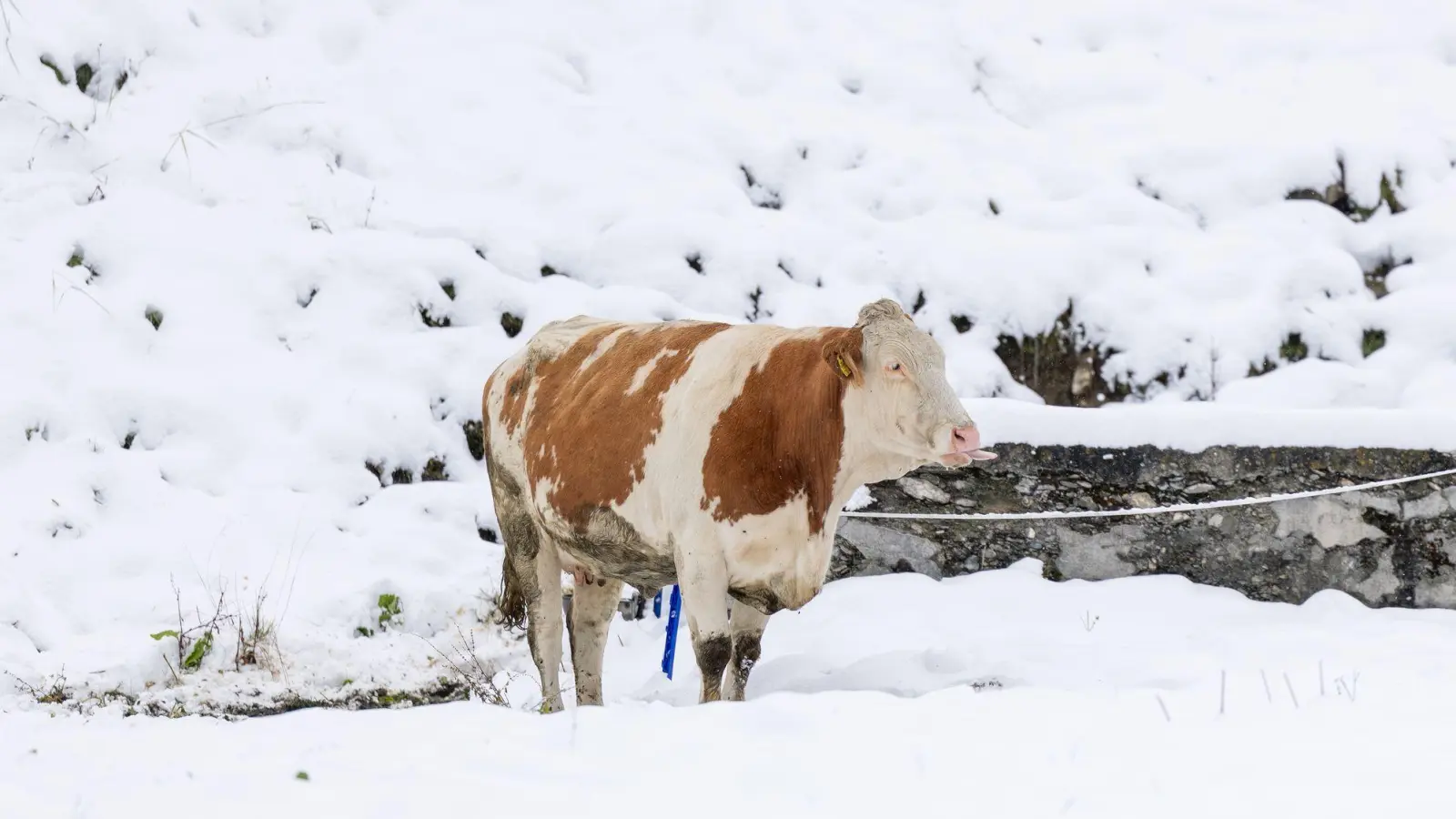 Niederschlag als Schnee heißt auch vorübergehend weniger Abflusswasser in den Flüssen“. (Foto: Expa/Johann Groder/APA/dpa)