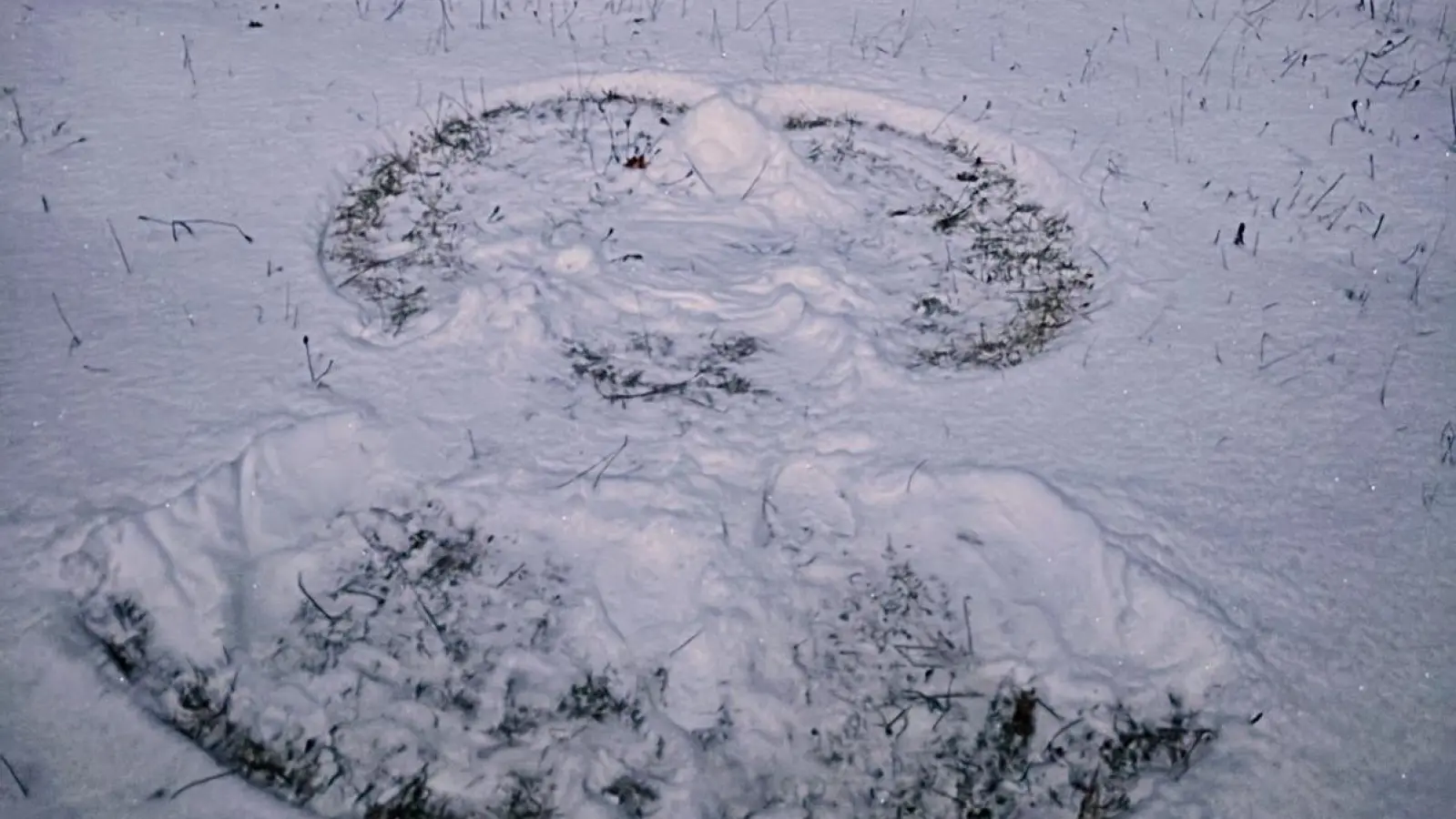 Einen Schneeengel trifft Claudia Wust über Neuhof/Zenn (Foto: Claudia Wust)