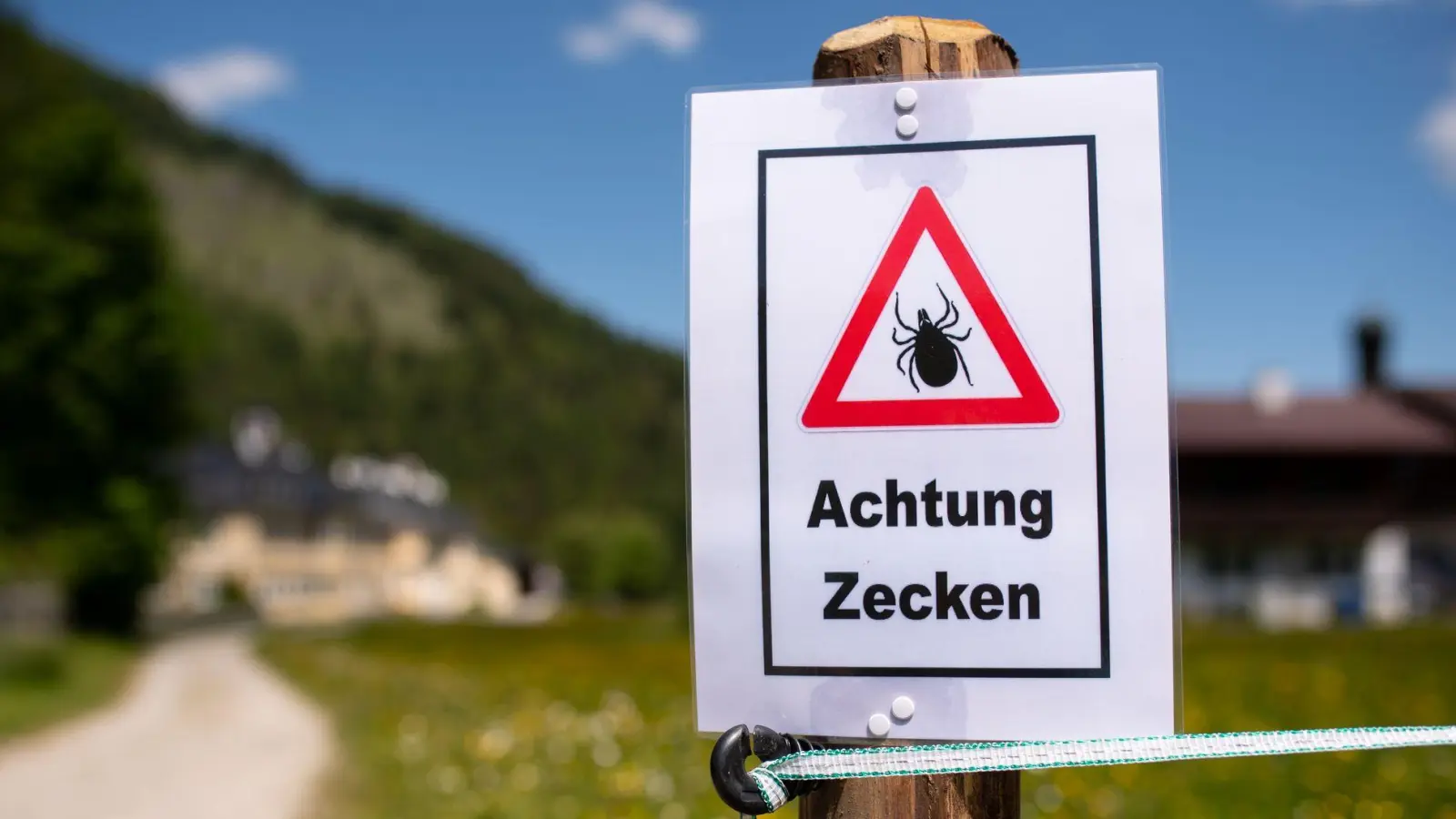 Bis auf die Stadt Schweinfurt bleibt ganz Bayern nach einer neuen Karte des Robert Koch-Instituts FSME-Risikogebiet. (Symbolbild) (Foto: Sven Hoppe/dpa)