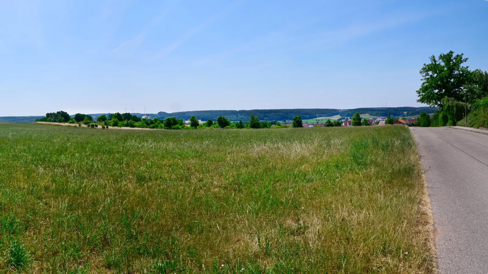 Wo jetzt noch Gras wächst, soll das neue Baugebiet Bergfeld III/IV entstehen. (Foto: Jim Albright)