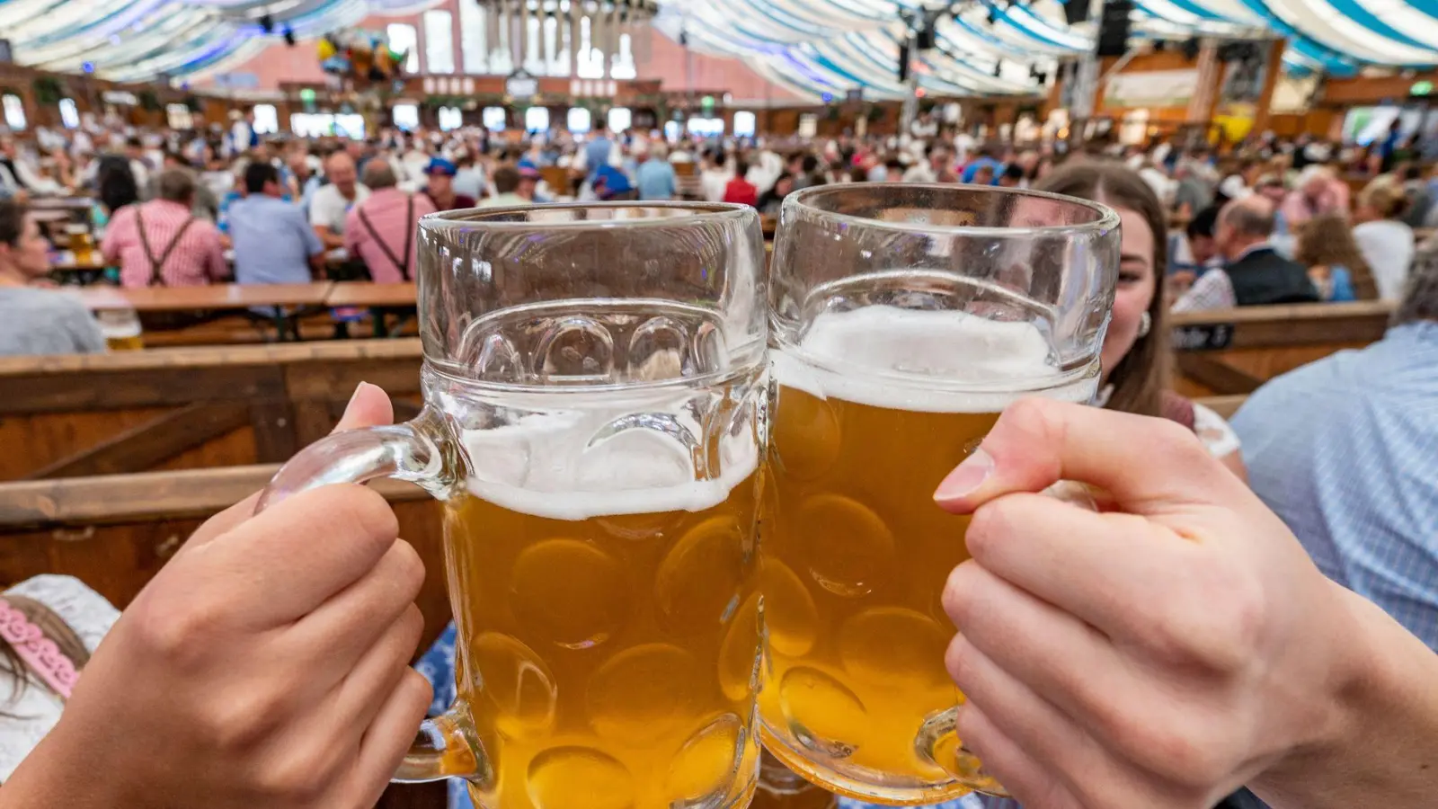 Für bayerisches Bier reicht die Menge an heimischer Braugerste nicht aus, es wird zugekauft, etwa aus Thüringen. (Symbolbild) (Foto: Armin Weigel/dpa)