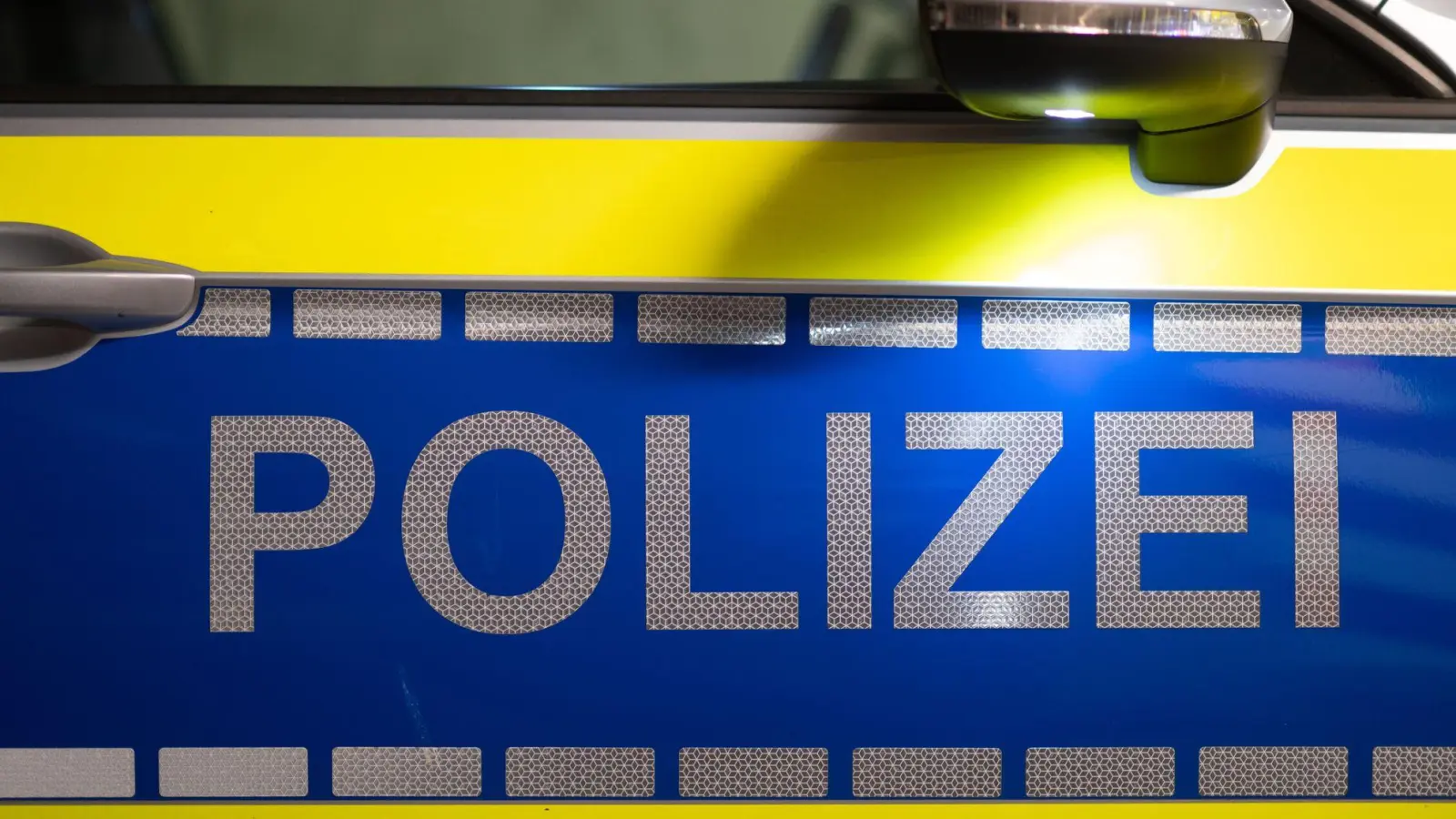 Die Polizisten nahmen zwei tatverdächtige Brüder fest. (Symbolbild) (Foto: Robert Michael/dpa)