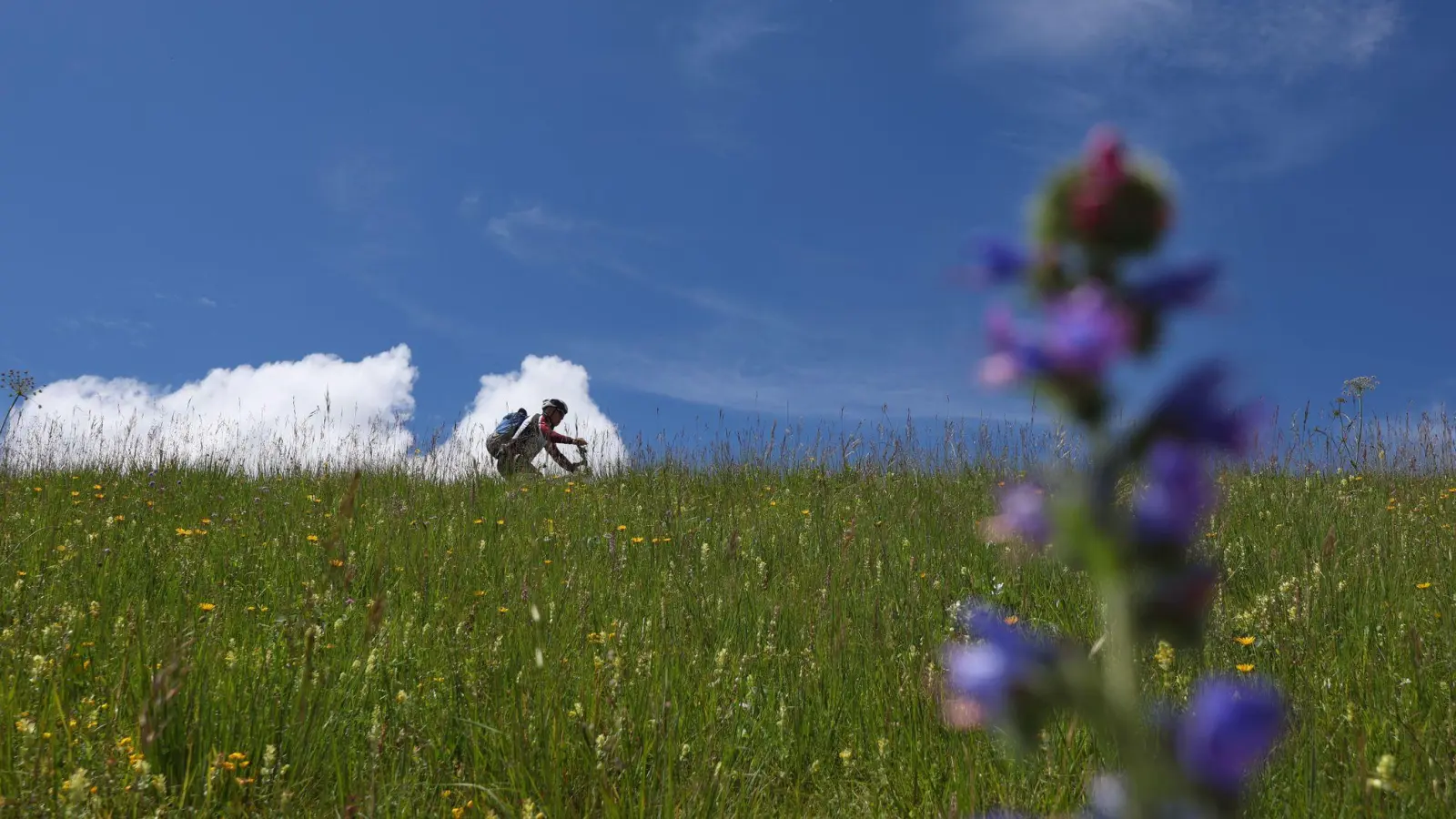 Sport in freier Natur ist sehr beliebt - doch die Natur sollte nicht darunter leiden. (Symbolbild) (Foto: Karl-Josef Hildenbrand/dpa)