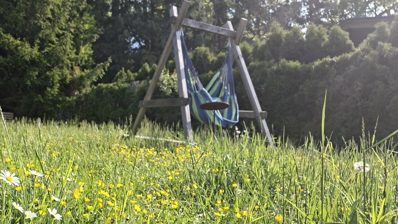 Wer seinen Rasen im Mai nicht mäht, macht Insekten eine Freude.  (Foto: Daniela Ramsauer)