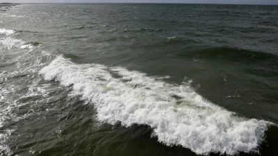 In der Ostsee vor dem polnischen Seebad Miedzyzdroje wurde ein Wal gesichtet. (Archivbild) (Foto: Bernd Wüstneck/dpa)