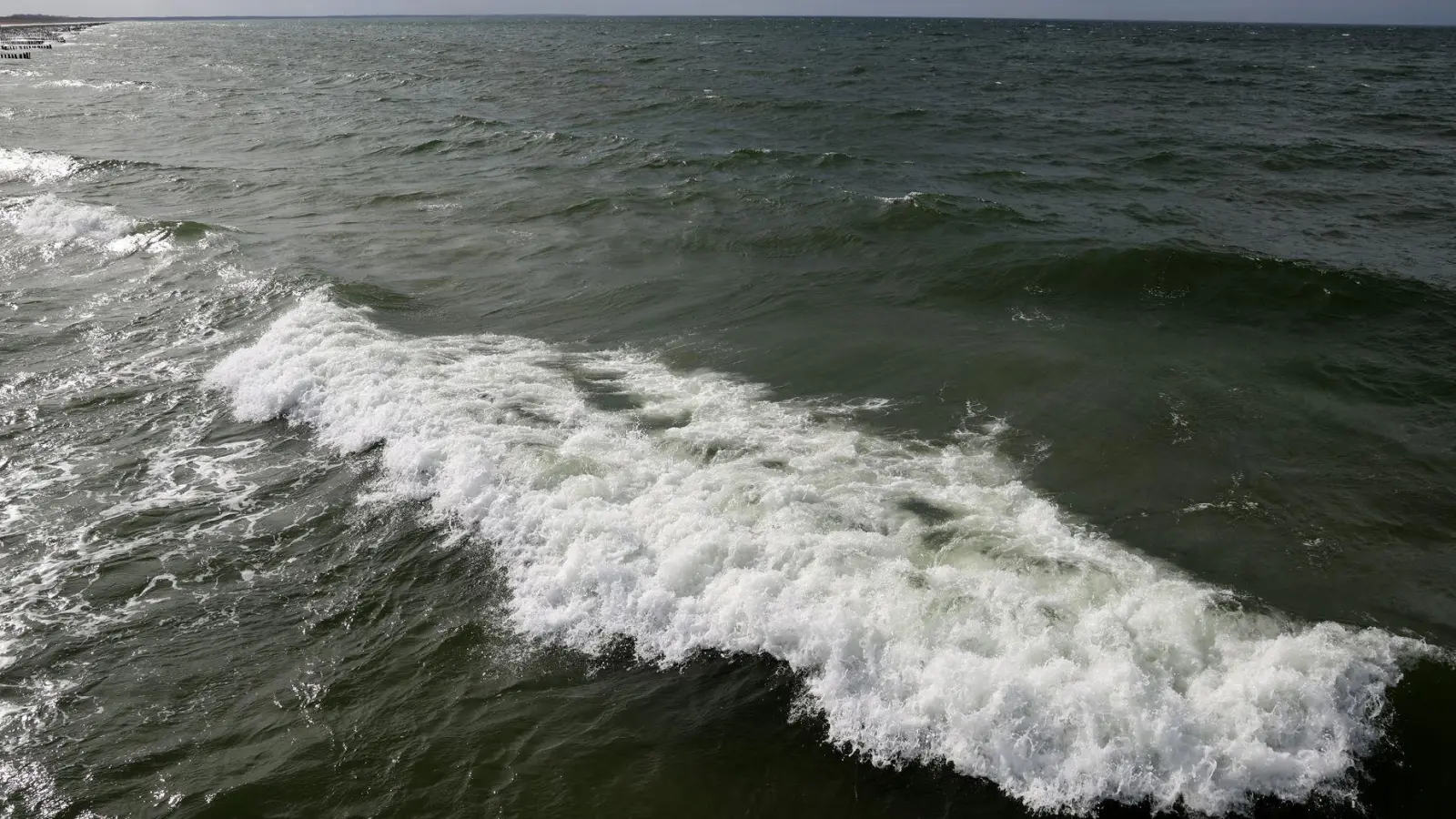 In der Ostsee vor dem polnischen Seebad Miedzyzdroje wurde ein Wal gesichtet. (Archivbild) (Foto: Bernd Wüstneck/dpa)