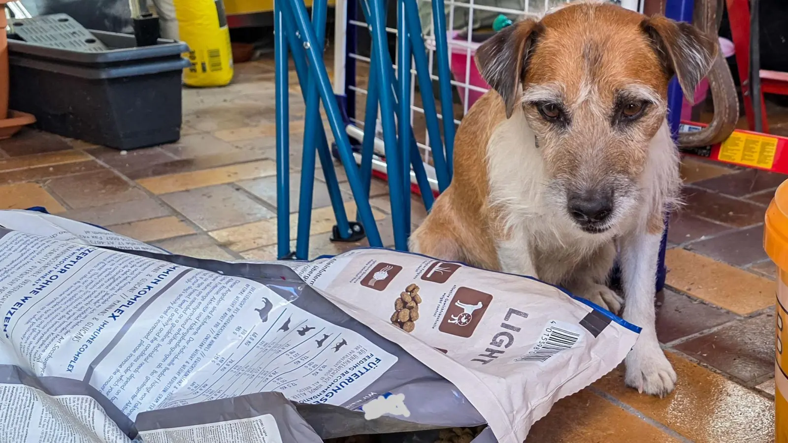Die Familie im Urlaub, der Hund bleibt allein und soll sich selbst versorgen. So wie auf dem Symbolbild sollte es nicht aussehen. Haustiere brauchen tägliche Betreuung. (Foto: Landratsamt Ansbach/Christina Euler)
