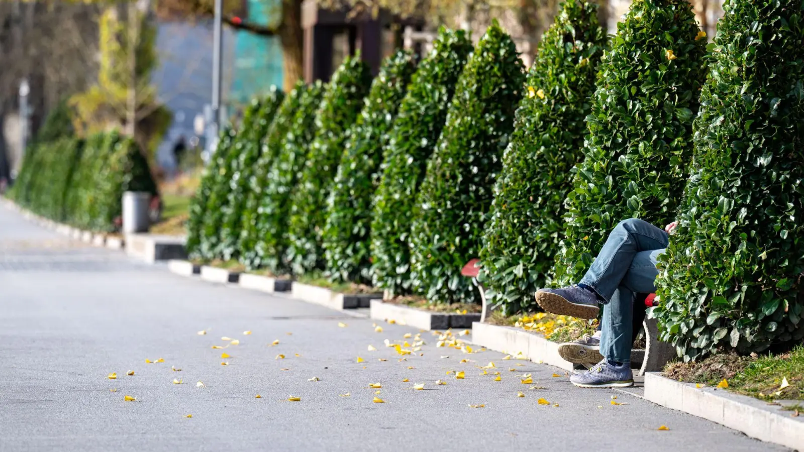 In Bayern soll es in den kommenden Tagen sonnig und mild werden. (Foto: Armin Weigel/dpa)