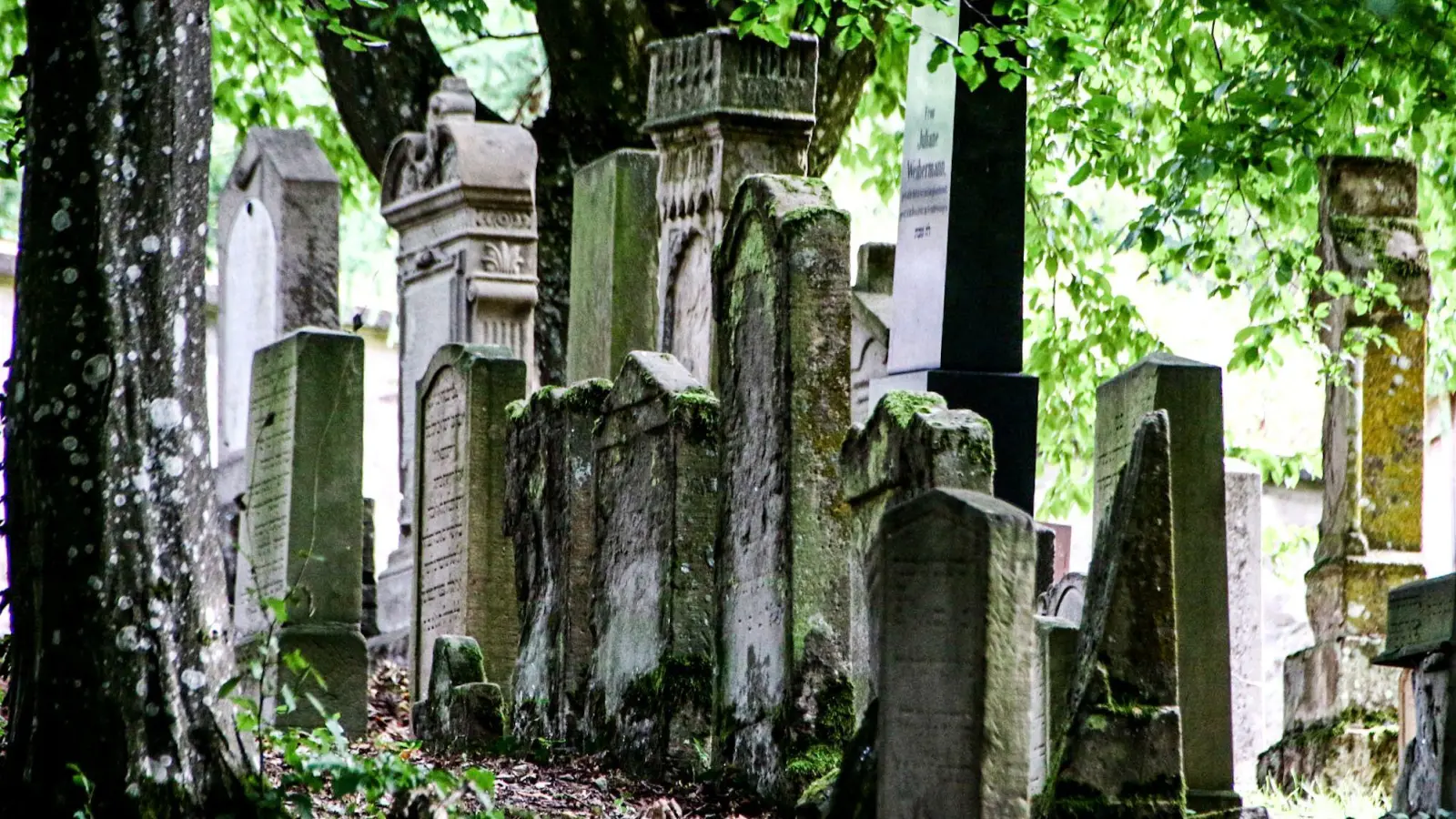 Auf dem jüdischen Friedhof in Rothenburg warfen Vandalen Grabsteine um. Hier ein Bild des jüdischen Friedhofs in Schopfloch. (Symbolbild: Martina Haas)
