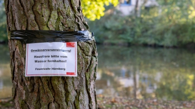 Am Langwassersee in Nürnberg gab es ein rätselhaftes Fischsterben. (Foto: Daniel Karmann/dpa)